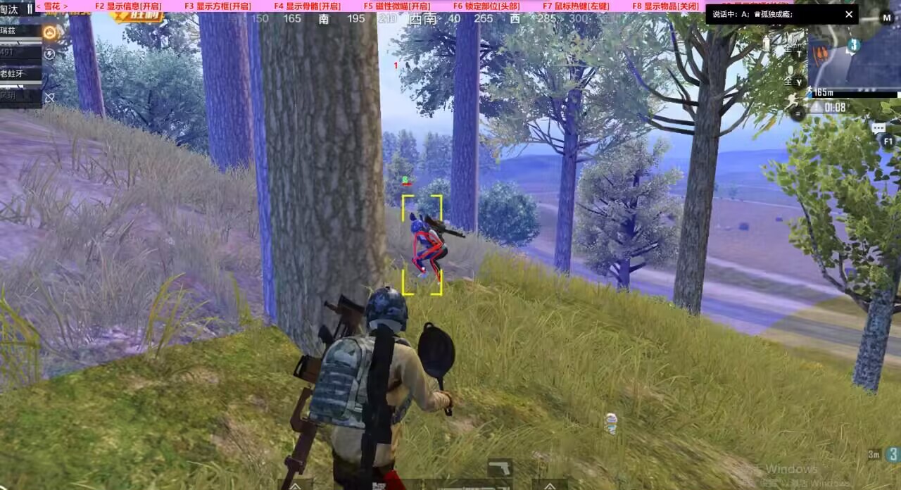 和平精英辅助【番茄】